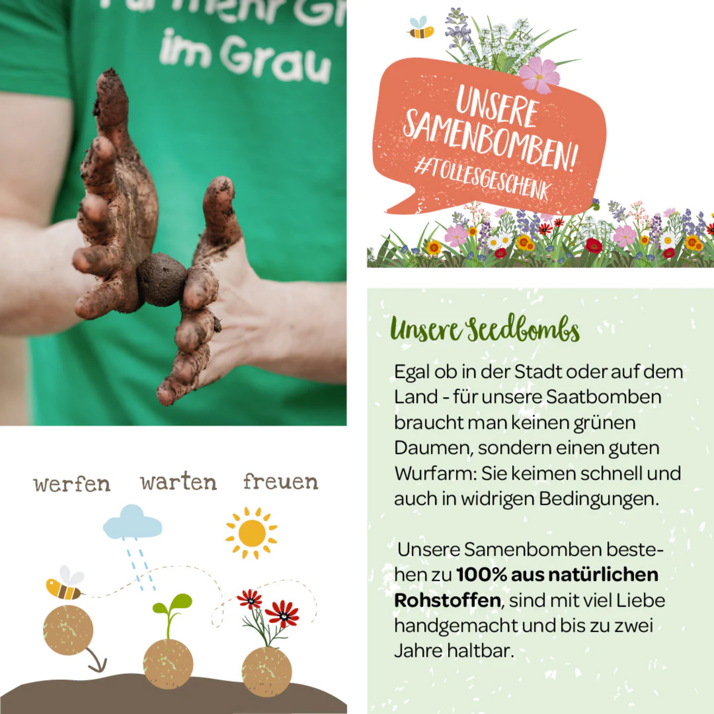 Samenbomben, Wildblumen im Würfel (⌀2-3cm) - DIE STADTGÄRTNER