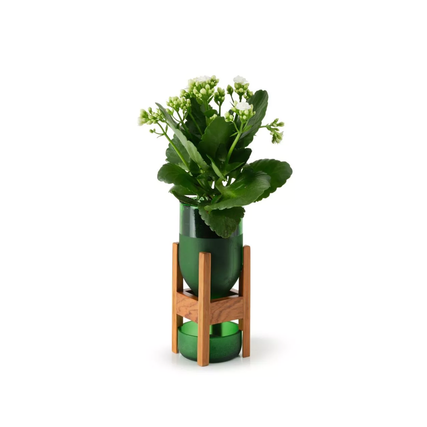 Pflanzenständer aus recycelten Flaschen, Pilo (19x8x8cm) - IWAS
