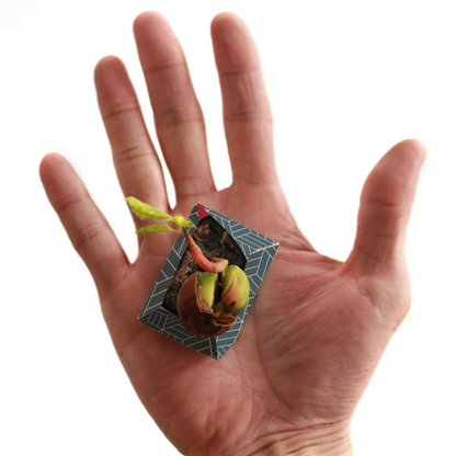DIY Origami Pflanzentöpfe, Japanische Kollektion - ORIBON