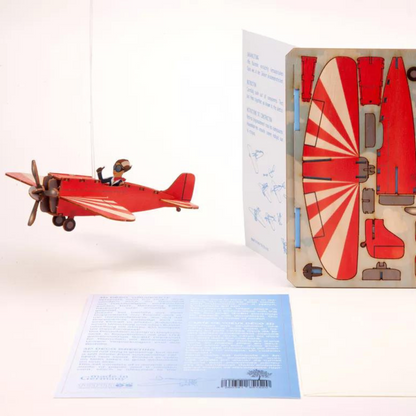3D Grußkarte aus Birkenholz A6, Flugzeug (14,8x10,5cm) - FORMES BERLIN